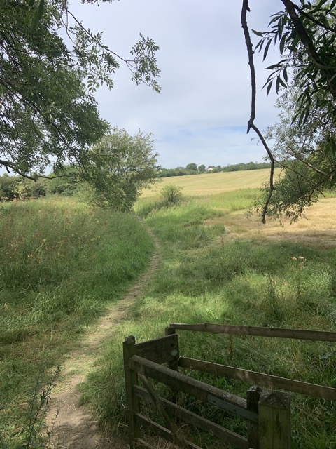 LL Section 16 ( 23.7.2020 )