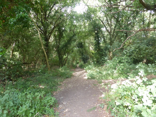 LL Section 16 ( 23.7.2020 )