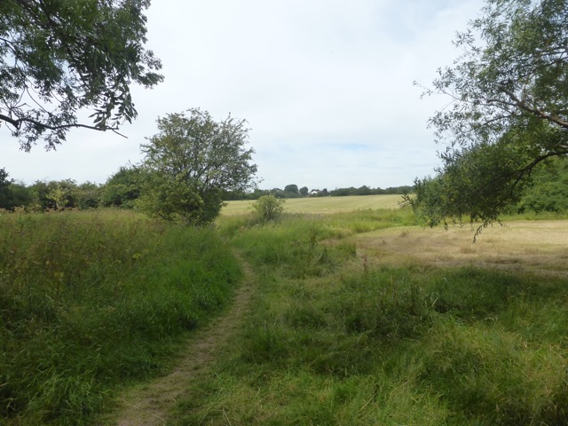 LL Section 16 ( 23.7.2020 )