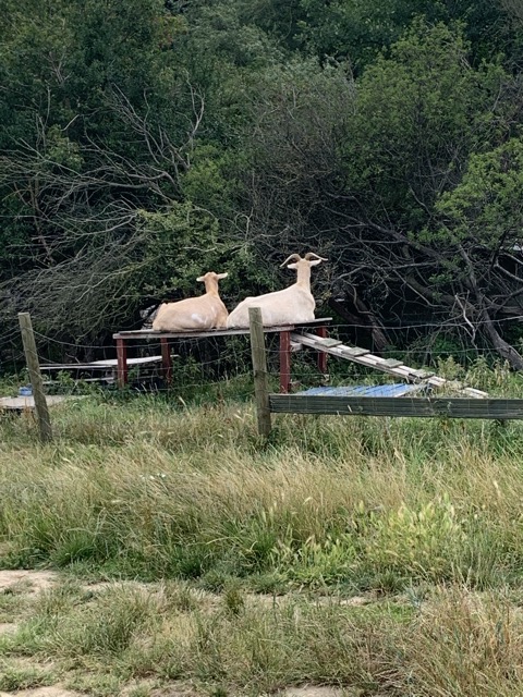 LL Section 16 ( 23.7.2020 )