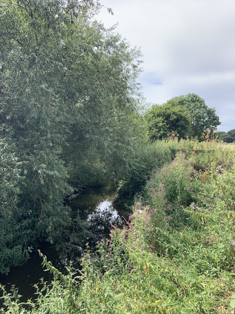 LL Section 16 ( 23.7.2020 )