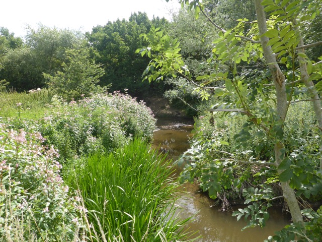 LL Section 16 ( 23.7.2020 )