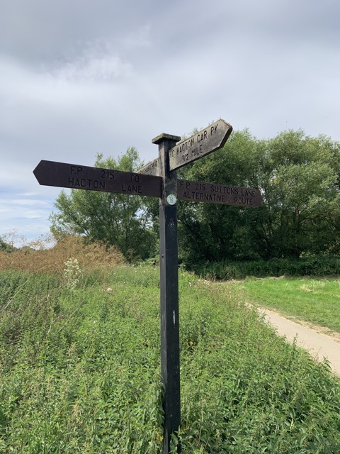 LL Section 16 ( 23.7.2020 )