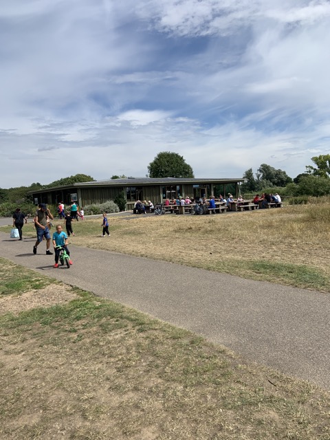 LL Section 16 ( 23.7.2020 )