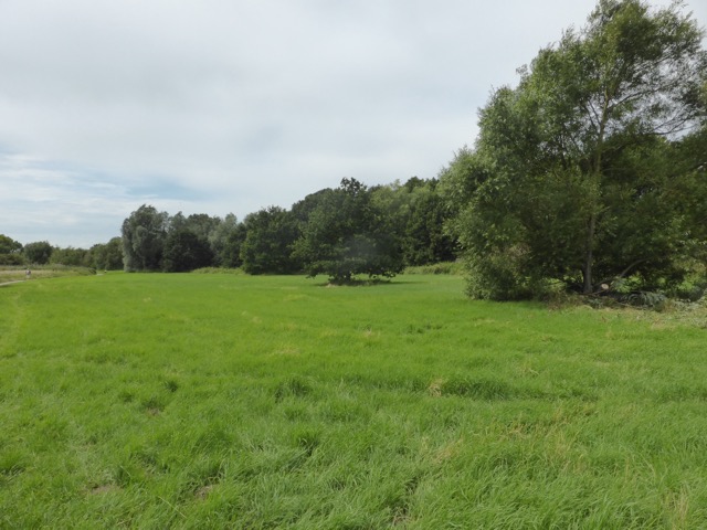 LL Section 16 ( 23.7.2020 )