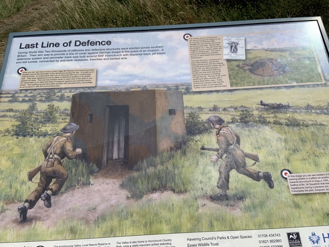 LL Section 16 ( 23.7.2020 )