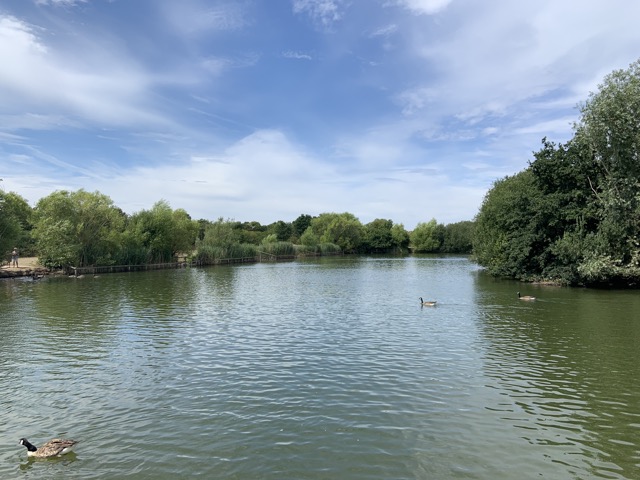 LL Section 16 ( 23.7.2020 )