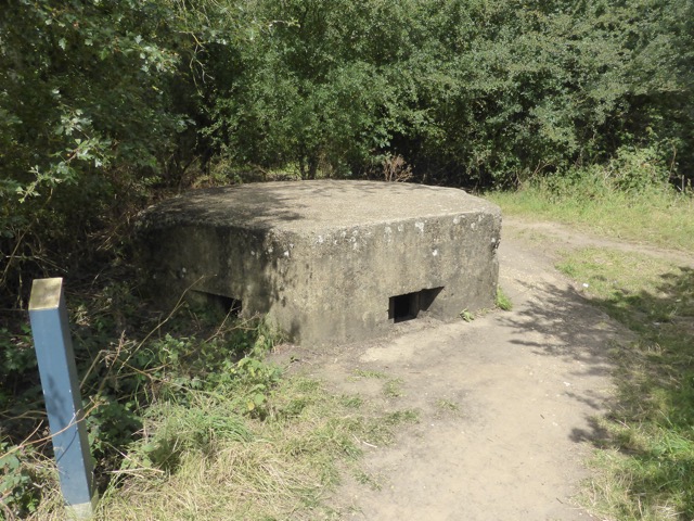 LL Section 16 ( 23.7.2020 )