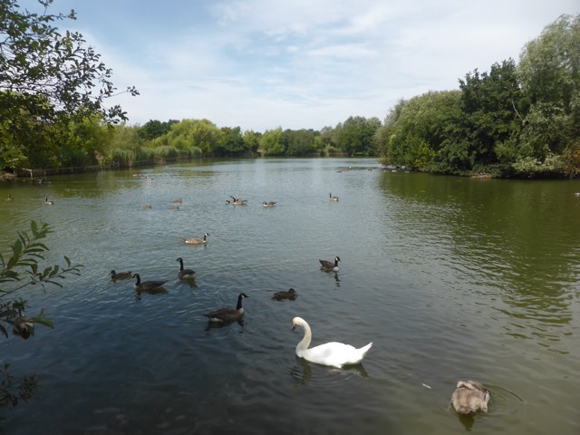 LL Section 16 ( 23.7.2020 )