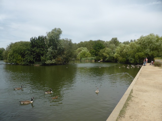 LL Section 16 ( 23.7.2020 )