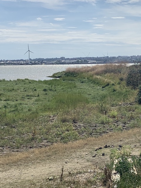 LL Section 16 ( 23.7.2020 )