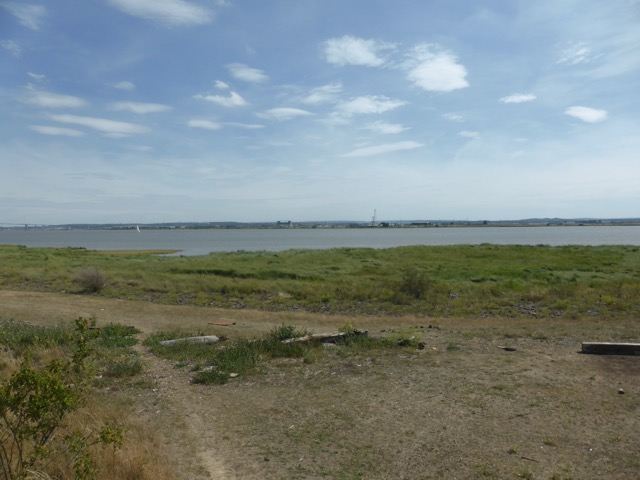 LL Section 16 ( 23.7.2020 )