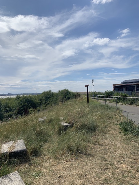 LL Section 16 ( 23.7.2020 )