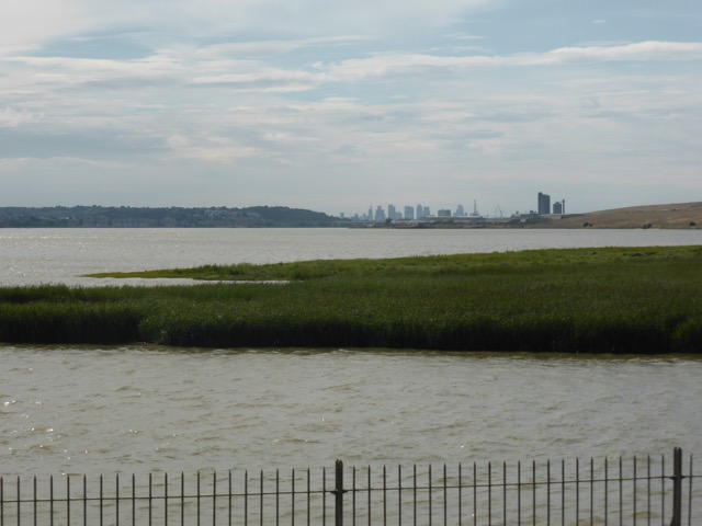 LL Section 16 ( 23.7.2020 )