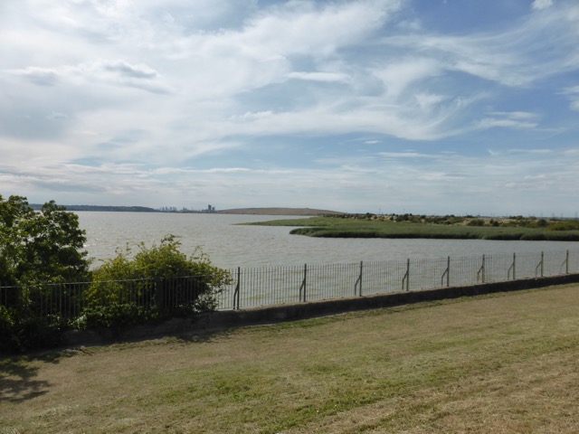 LL Section 16 ( 23.7.2020 )