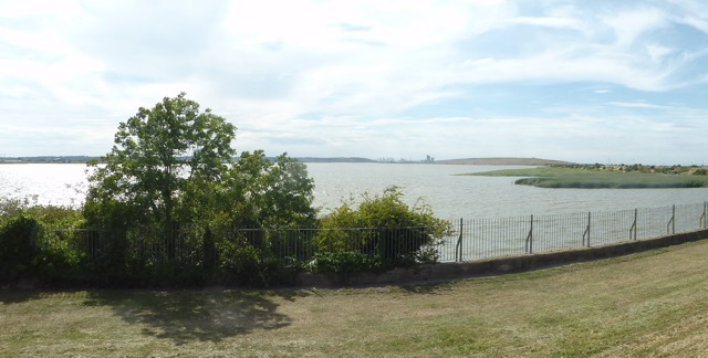 LL Section 16 ( 23.7.2020 )