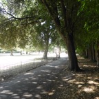 C076D7B9-182D-4FFD-9B8E-6F3709396835.jpeg
