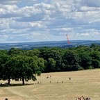 IMG_3320