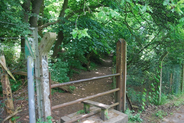 LL Section 1