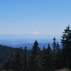 DSC_1976.JPG