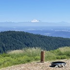 IMG_0065.jpeg