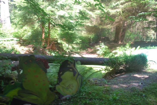 Stanley Park