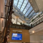 IMG_0100.jpeg