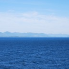 6300FB3D-5819-424C-BF5A-108B3FBE8072.jpeg