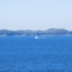1E6A0915-39BF-452E-8495-9CE143E0E0C5.jpeg