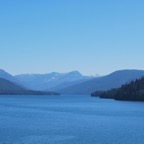 5374CDF8-C6F5-4A63-8289-ED6696E1FAB7.jpeg