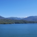 787F3A35-0755-4080-9079-AFDAA854D718.jpeg