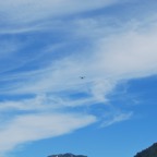 AB12183B-0E8D-4E81-8D77-2F5D873077A8.jpeg