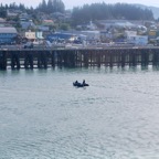 DSC_2228.JPG