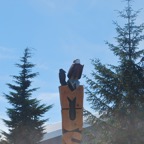 DSC_2271.JPG
