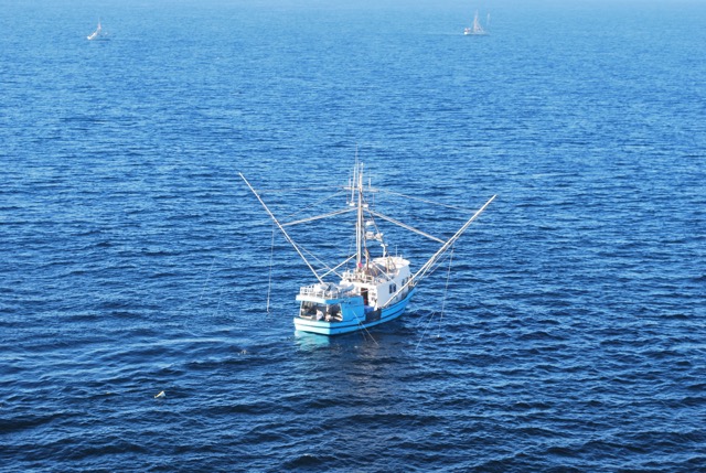 Fisherman at work