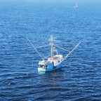 DSC_2282.JPG