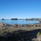 DSC_2303.JPG