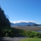 DSC_2308.JPG