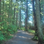 DSC_2311.JPG