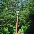 DSC_2321.JPG