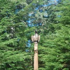 DSC_2322.JPG