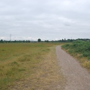 DSC_5979.jpg