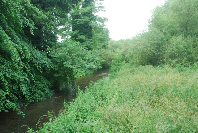 24.6.2013 Section 2  ( ½  )