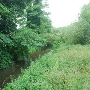 DSC_5980.jpg