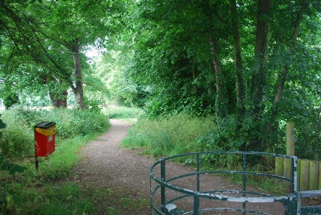 24.6.2013 Section 2  ( ½  )