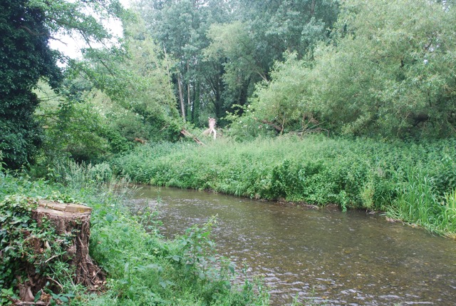 24.6.2013 Section 2  ( ½  )