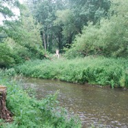 DSC_5983.jpg