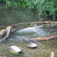 DSC_5987.jpg