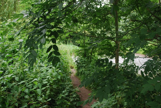 24.6.2013 Section 2  ( ½  )
