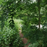 DSC_5988.jpg